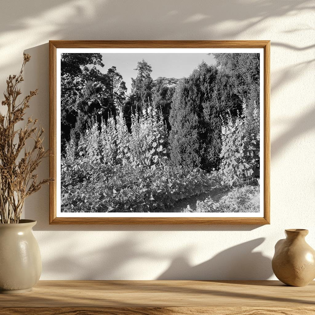 Historic Building in Fork Union, Virginia 1812 Photo