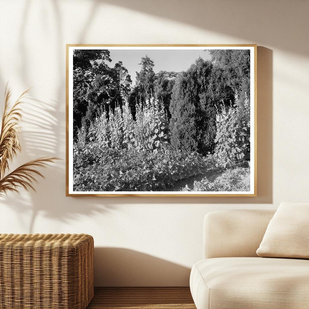 Historic Building in Fork Union, Virginia 1812 Photo