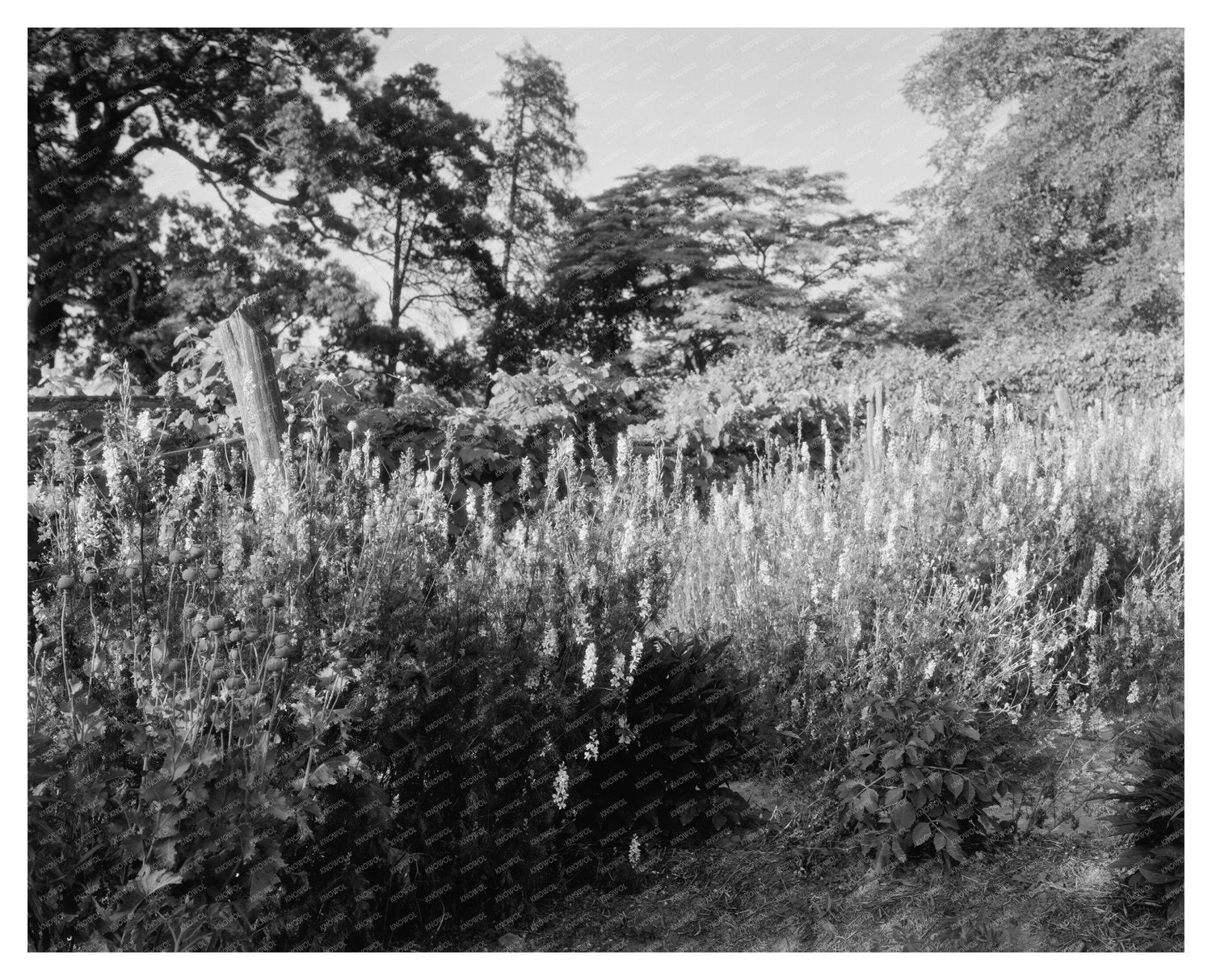 Historic Structure in Fork Union, VA, Built 1812