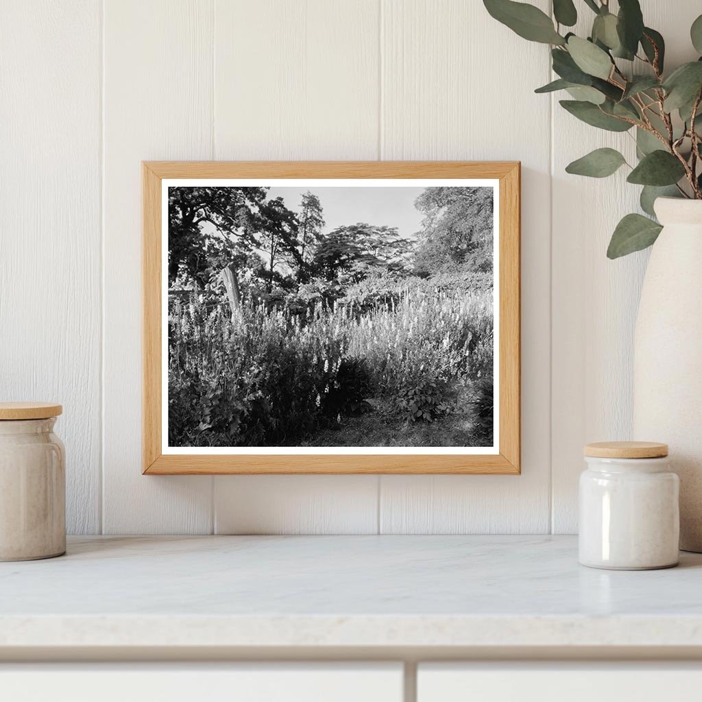 Historic Structure in Fork Union, VA, Built 1812