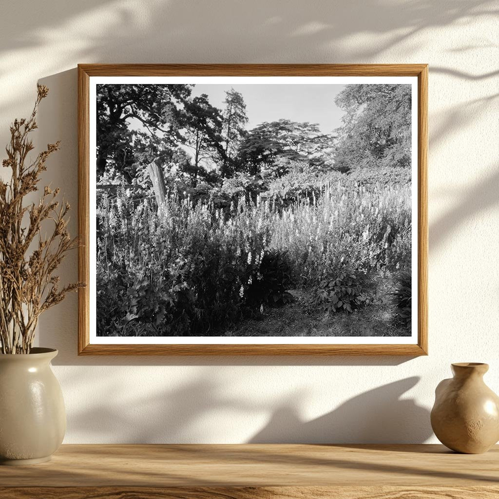 Historic Structure in Fork Union, VA, Built 1812