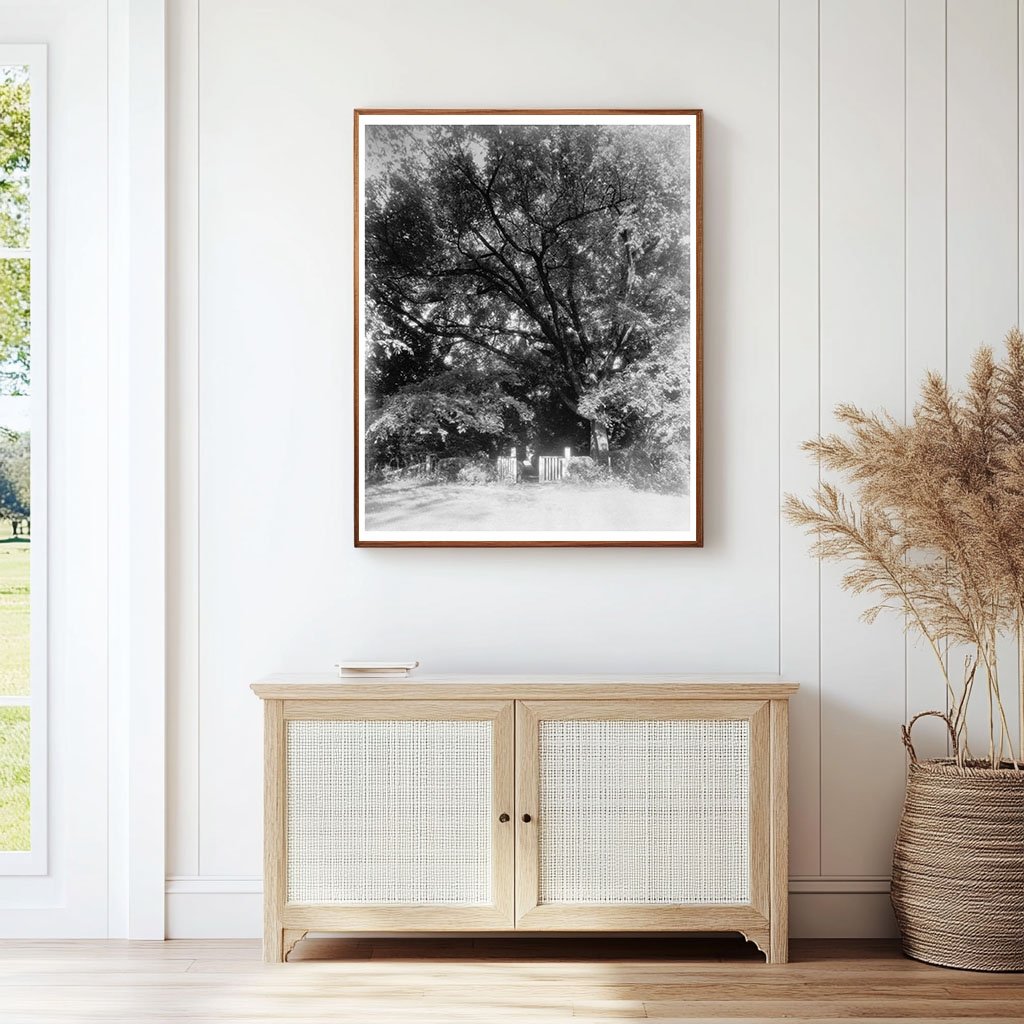 Goochland VA Historic Site Photo, c. 1712