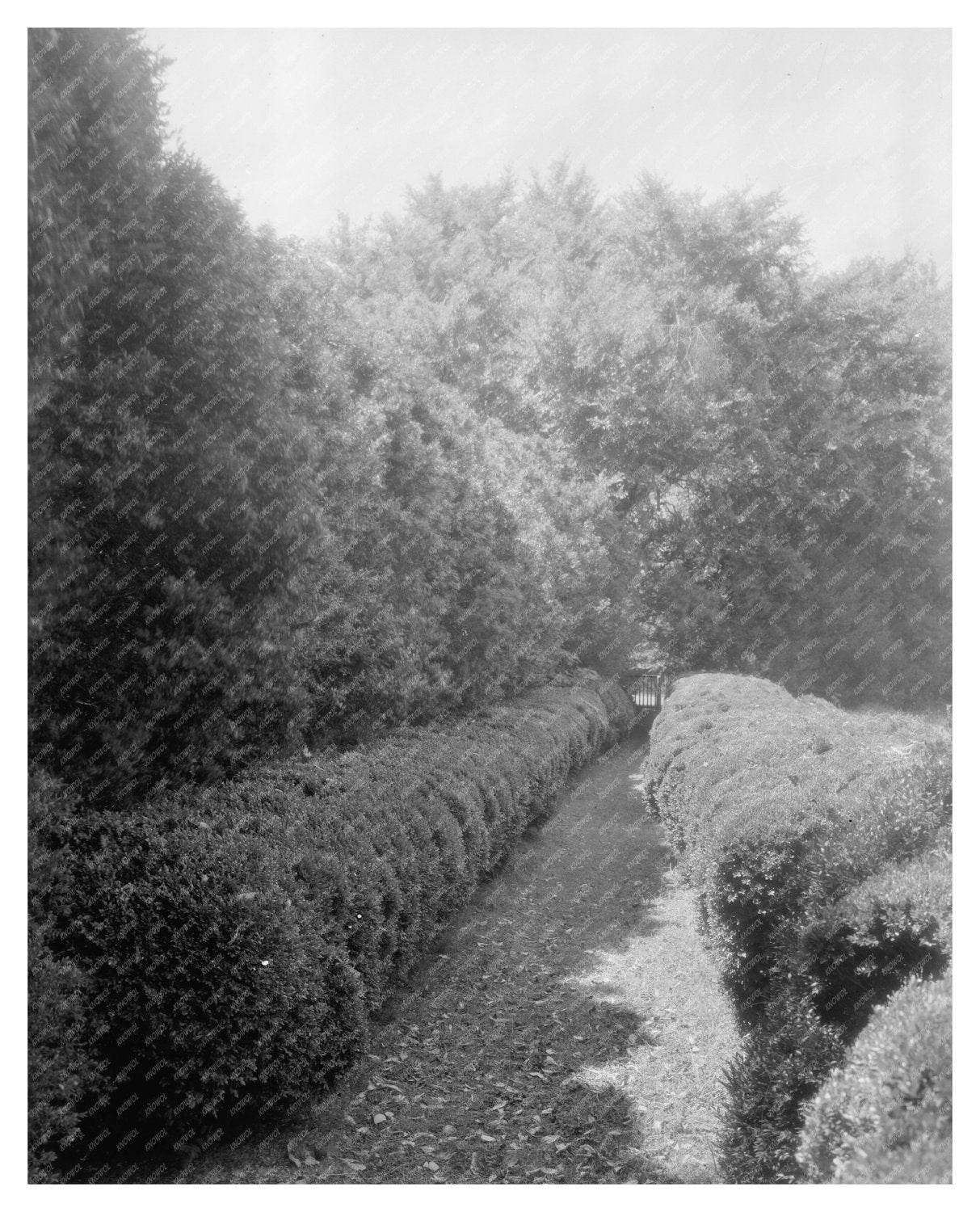 Goochland, VA 1712 Colonial Architecture Photograph