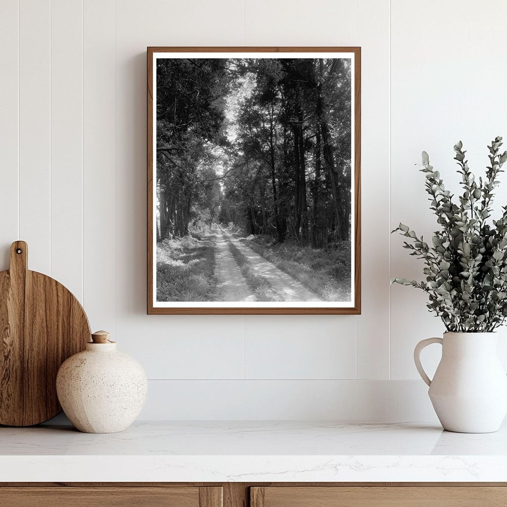 Goochland VA Landmark Photo, 1712 Architecture History