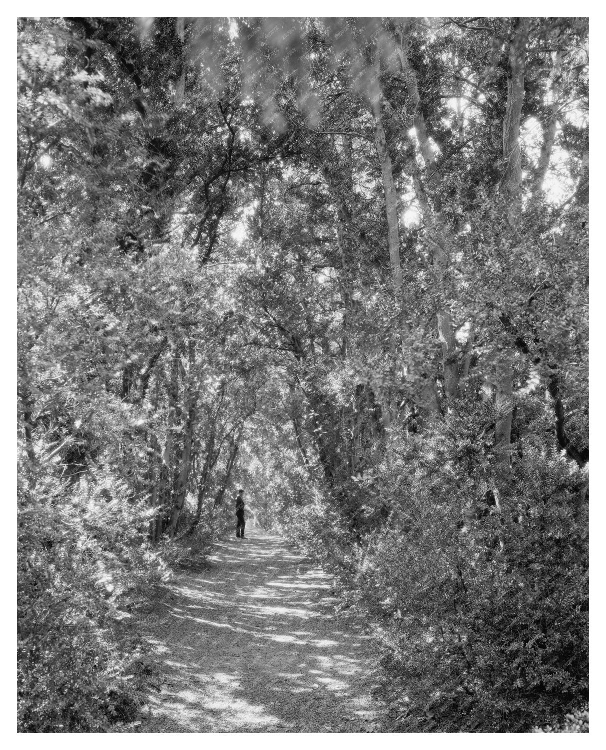 Ashland VA Hospital Building History 1820-1875