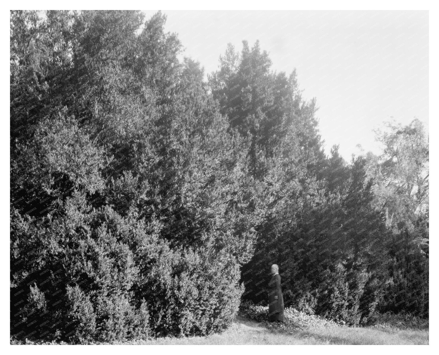 1875 Historic Building in Ashland, Virginia