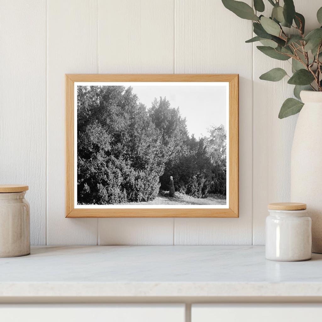 1875 Historic Building in Ashland, Virginia