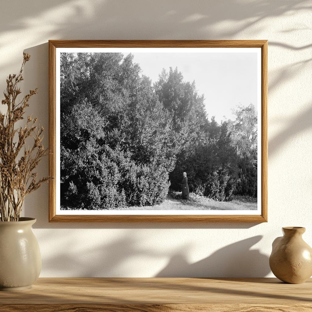 1875 Historic Building in Ashland, Virginia