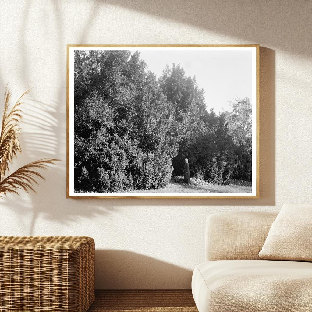 1875 Historic Building in Ashland, Virginia