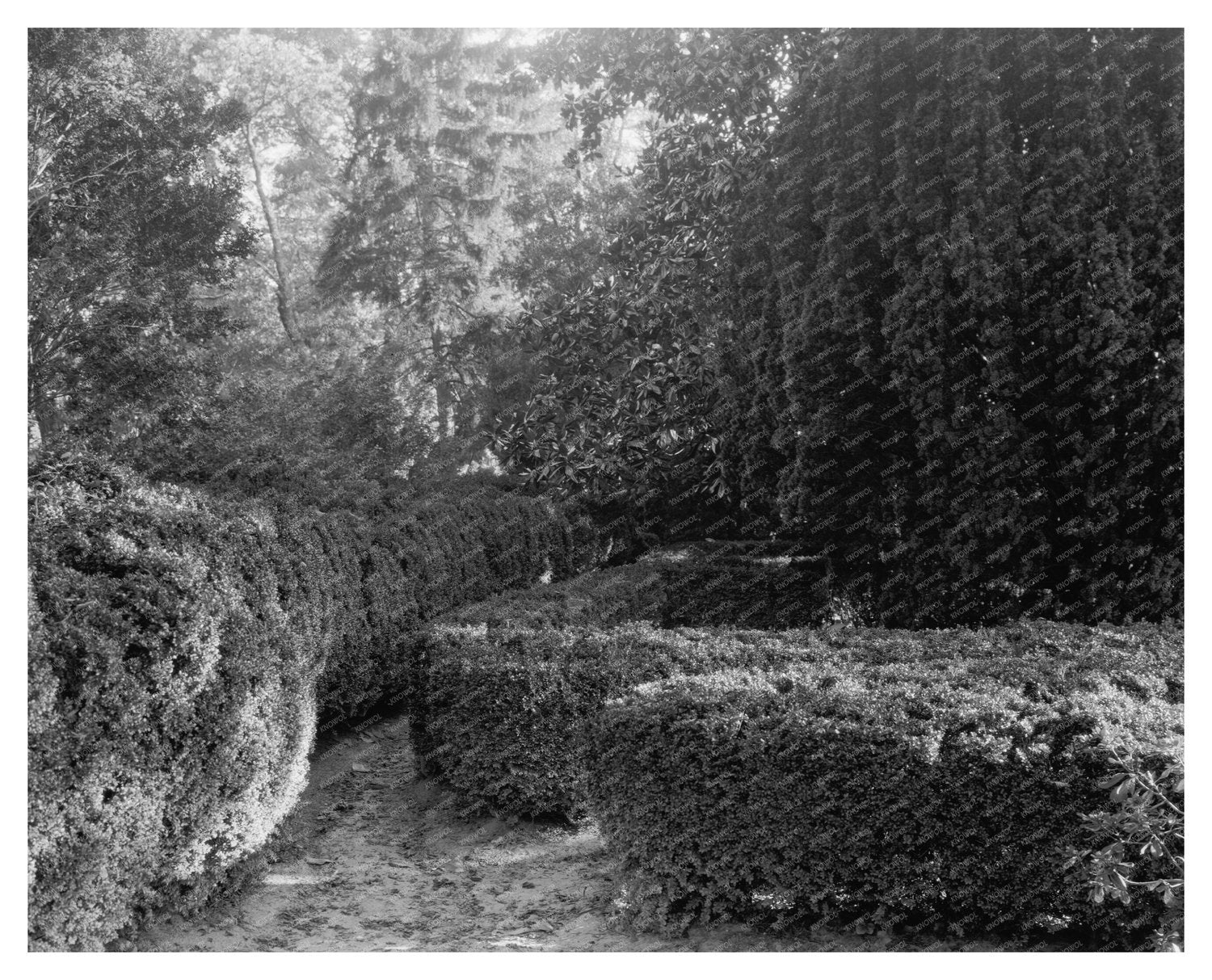 Historic Ashland VA Building 1820 Civil War Hospital Photo