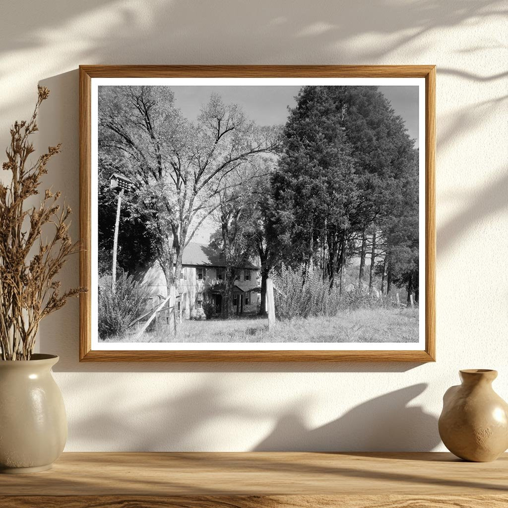 Rocketts Mill, Hanover County VA, Historical Photograph 1953