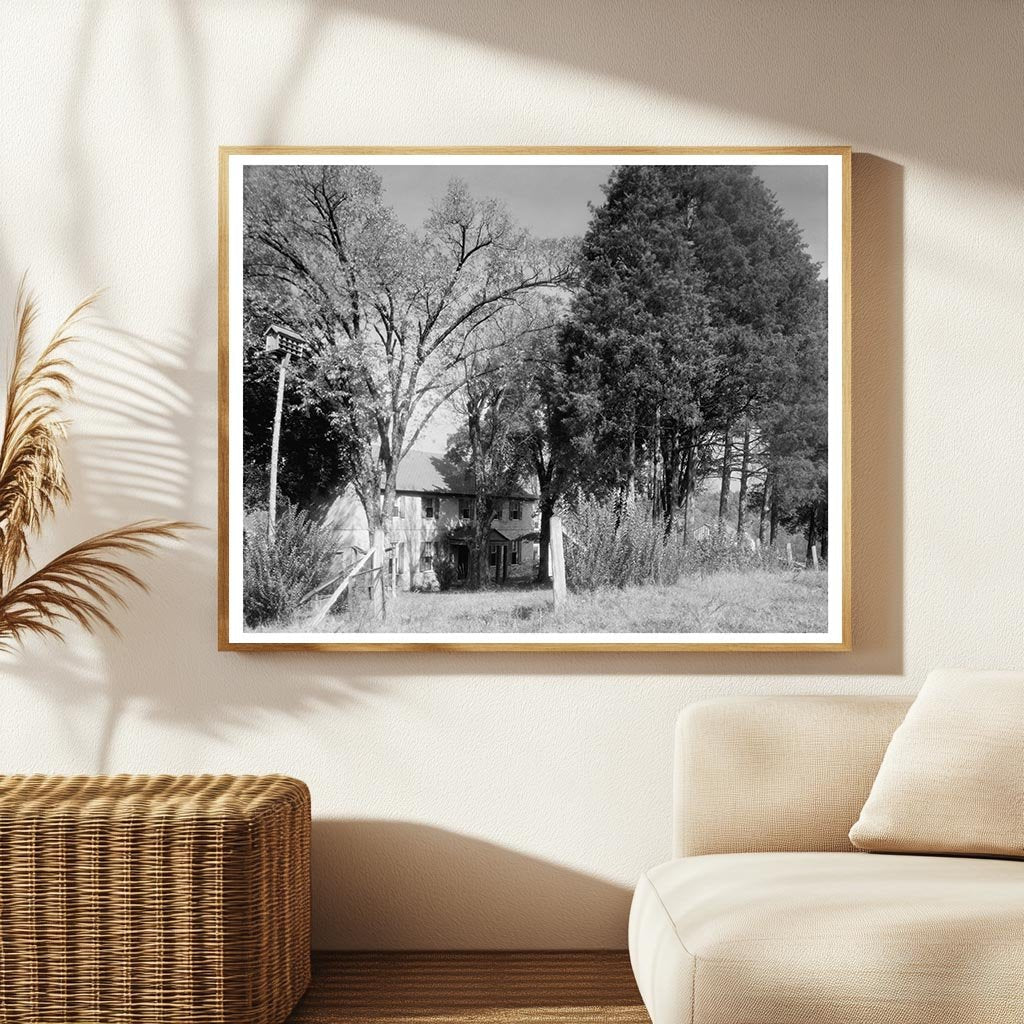 Rocketts Mill, Hanover County VA, Historical Photograph 1953