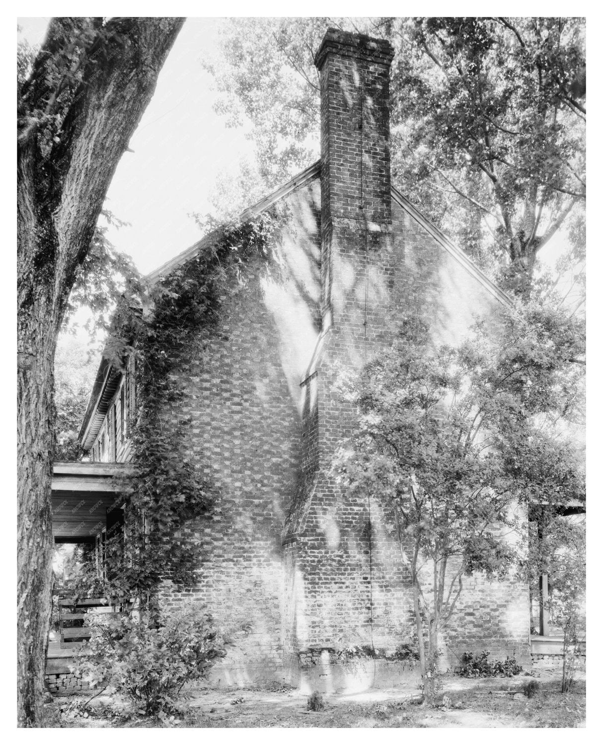 Cowslip Green Plantation Photo, King & Queen County, VA 1953