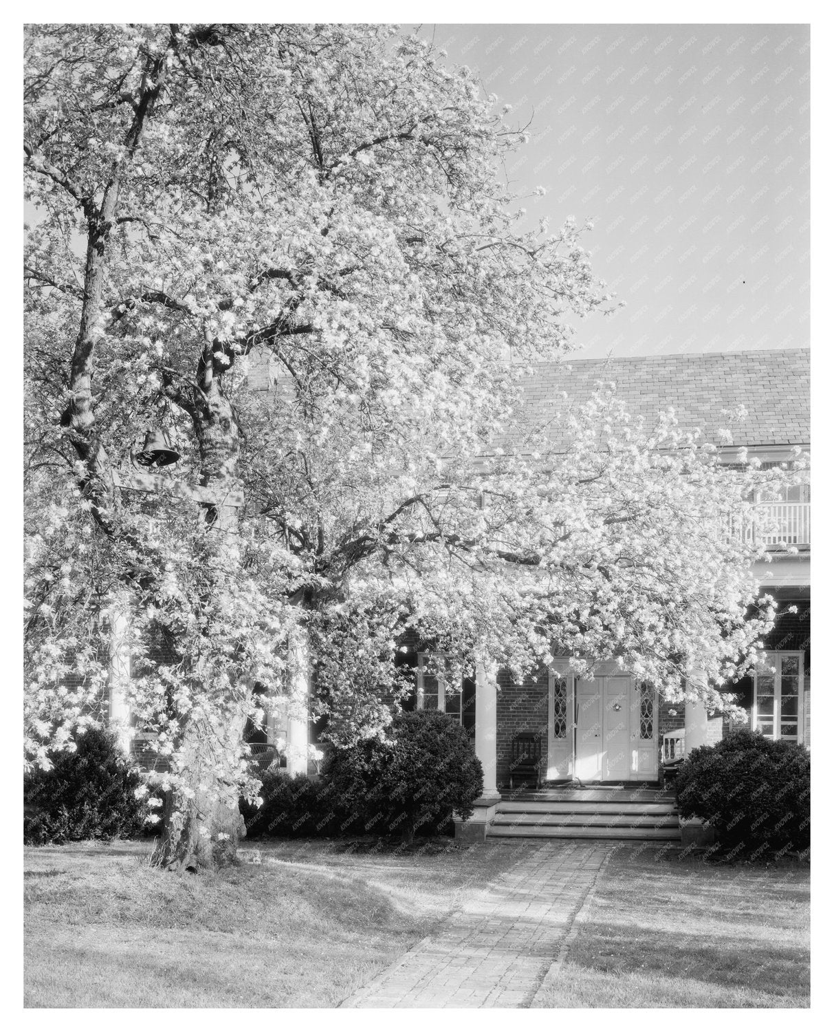 Vintage Garden Photo, Loudoun County, VA, 20th Century