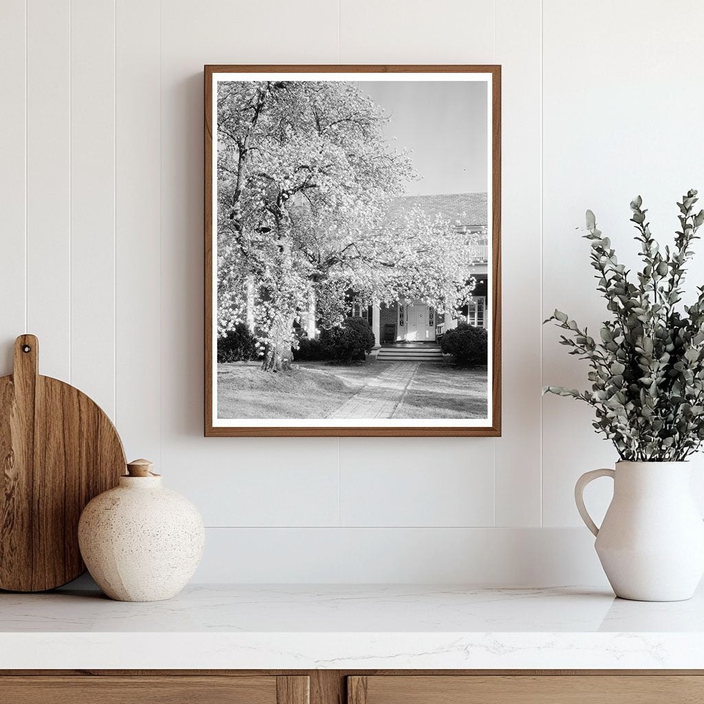 Vintage Garden Photo, Loudoun County, VA, 20th Century