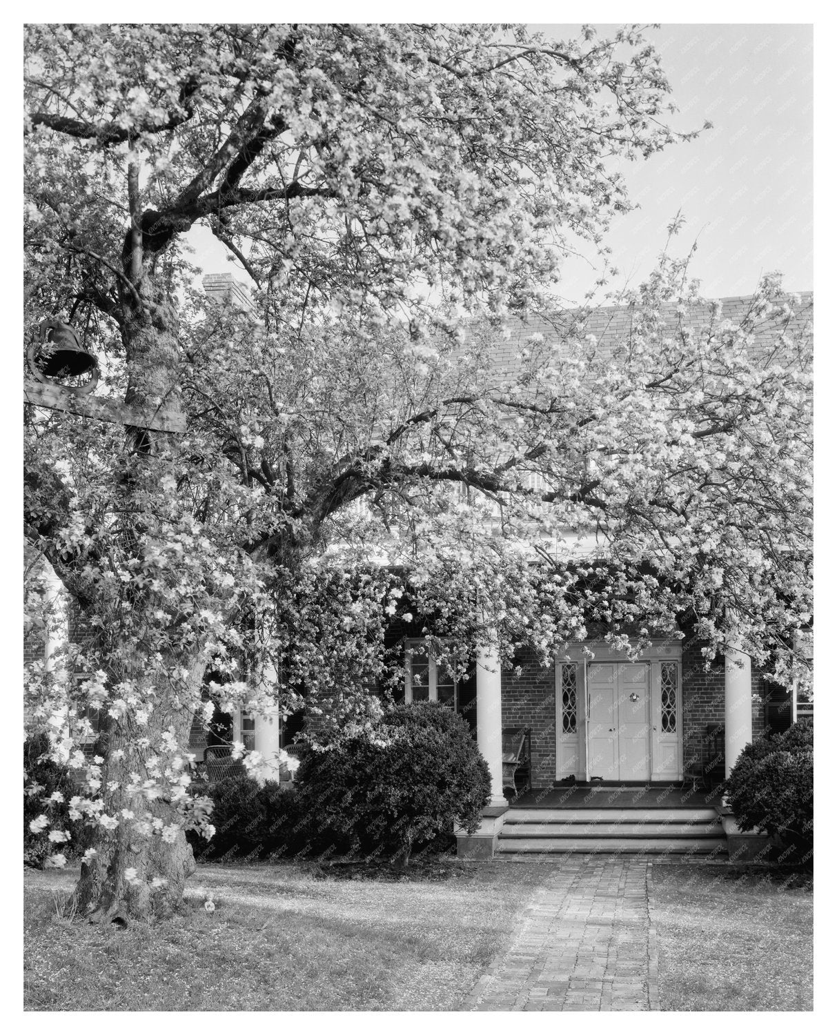 Vintage Photo of Loudoun County, VA Architecture, 20th Centu