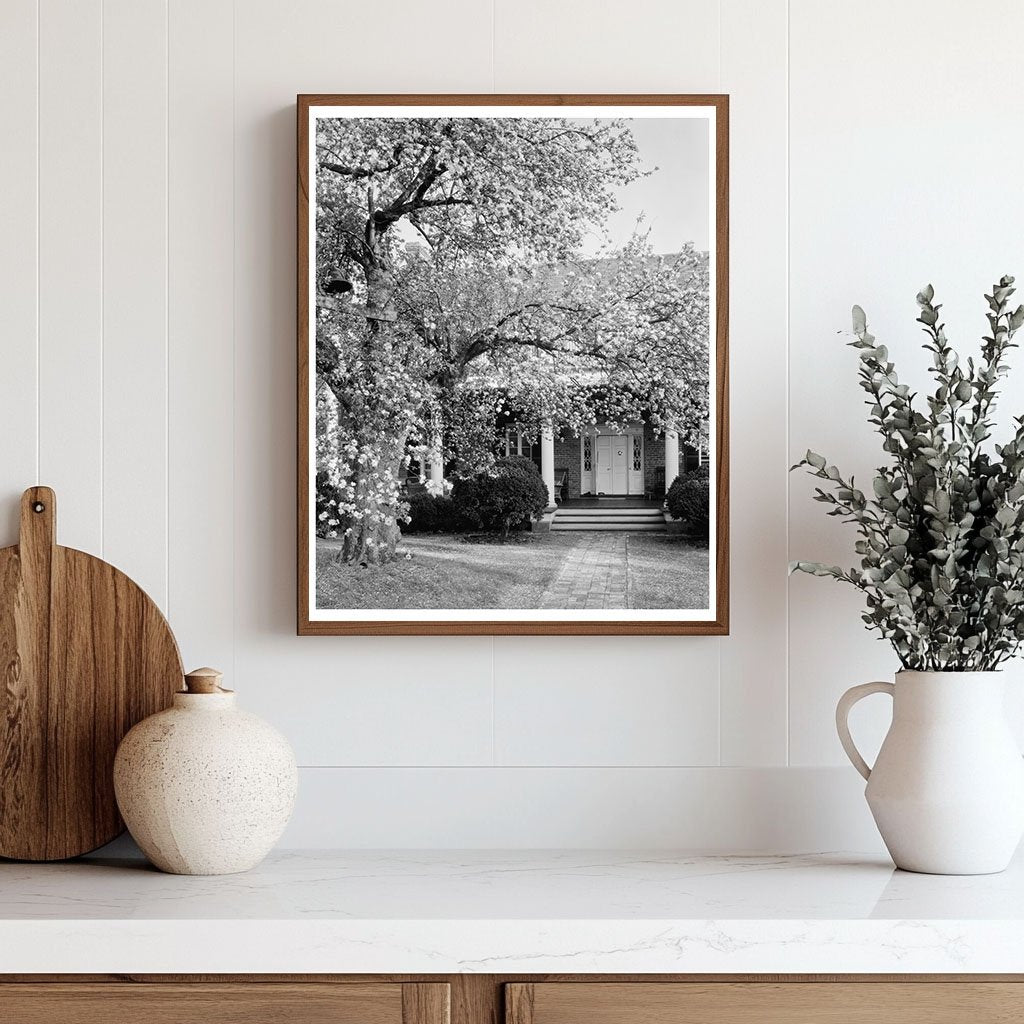 Vintage Photo of Loudoun County, VA Architecture, 20th Centu