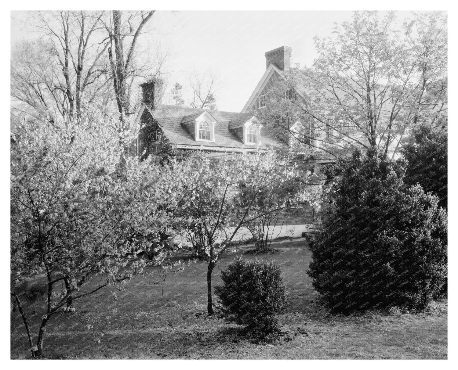 Loudoun County VA Vintage Garden Photo 20th Century