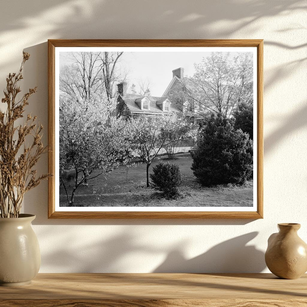 Loudoun County VA Vintage Garden Photo 20th Century