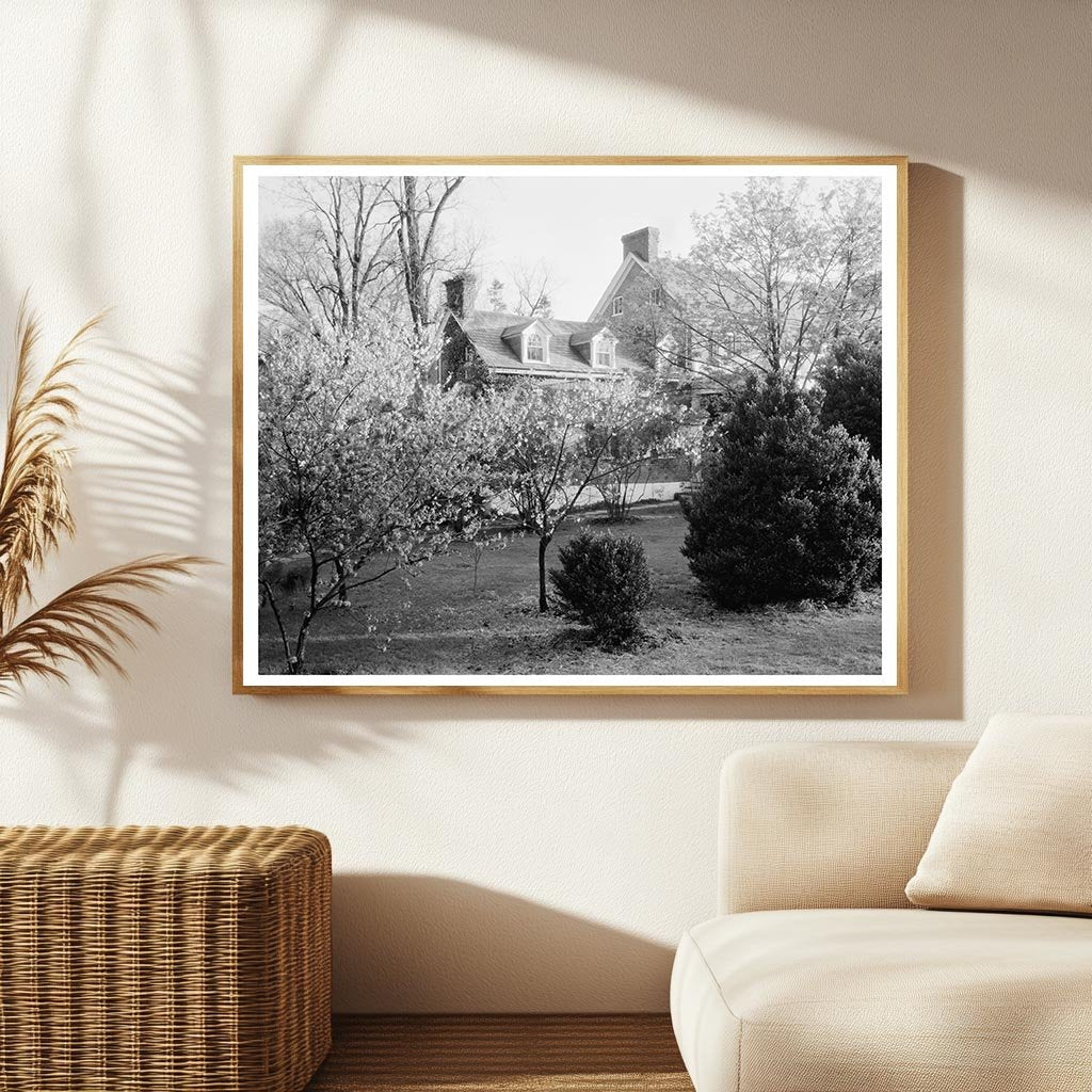 Loudoun County VA Vintage Garden Photo 20th Century