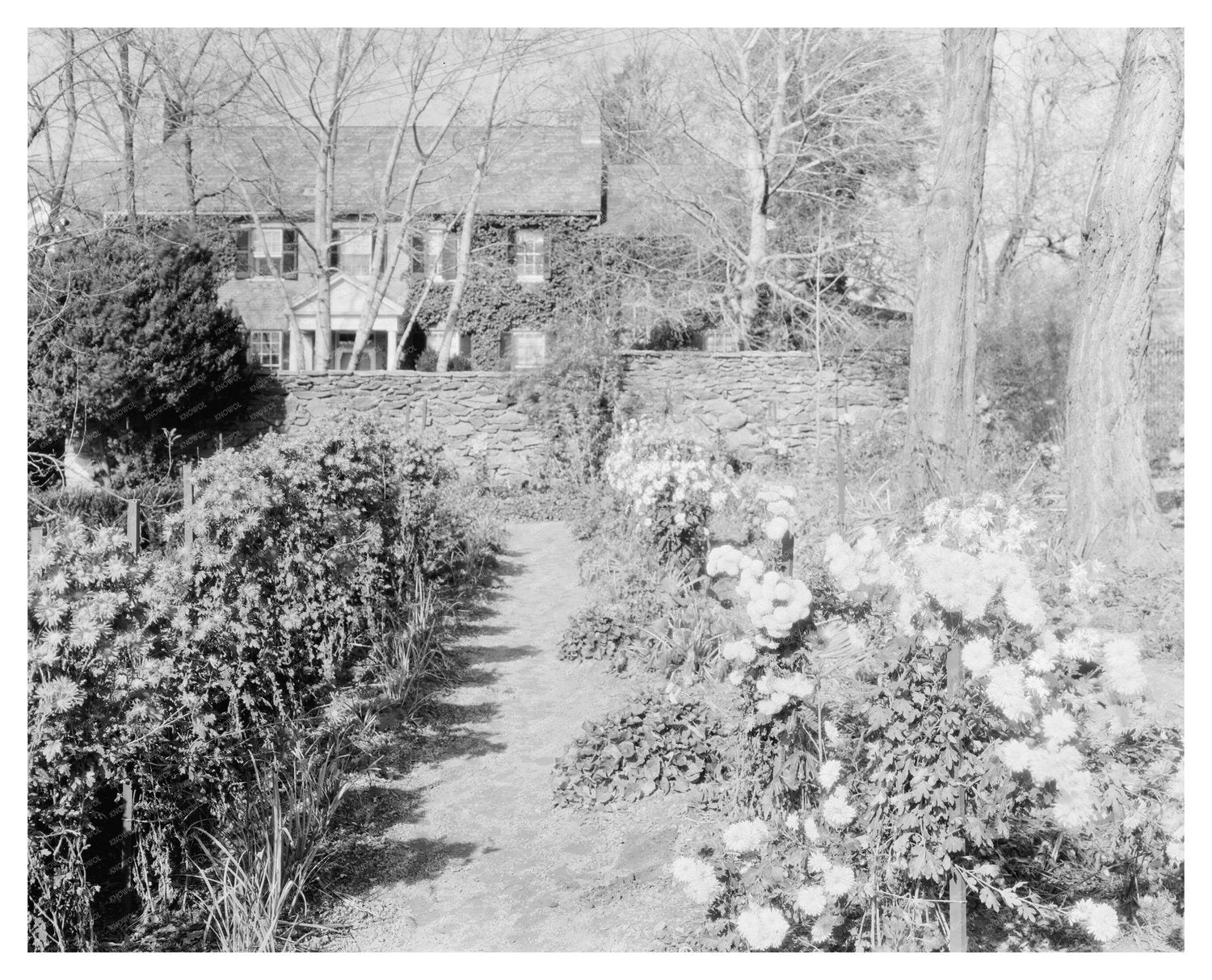 Middleburg VA Vintage Photo from Carnegie Survey 1953