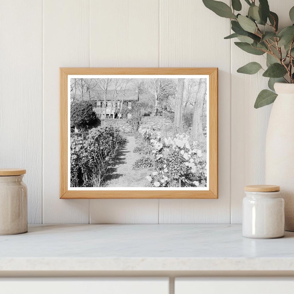 Middleburg VA Vintage Photo from Carnegie Survey 1953