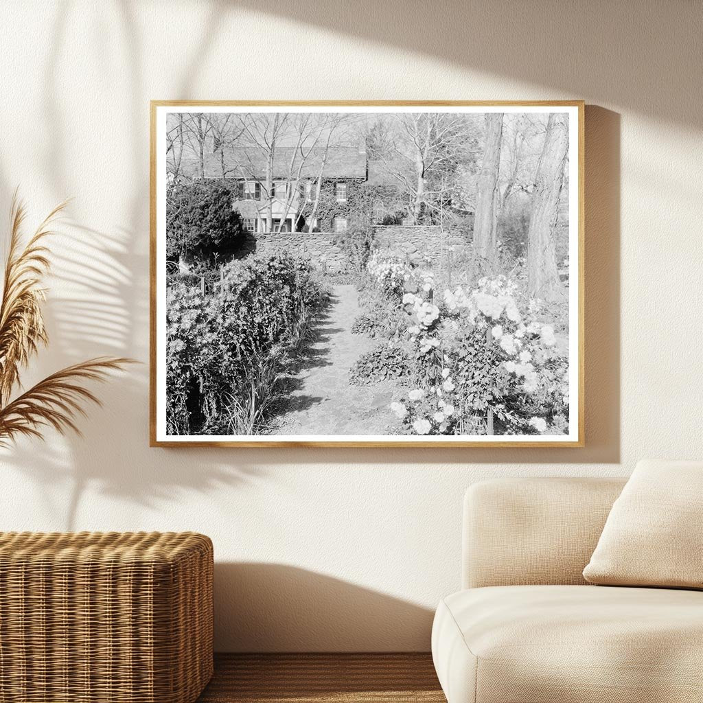 Middleburg VA Vintage Photo from Carnegie Survey 1953