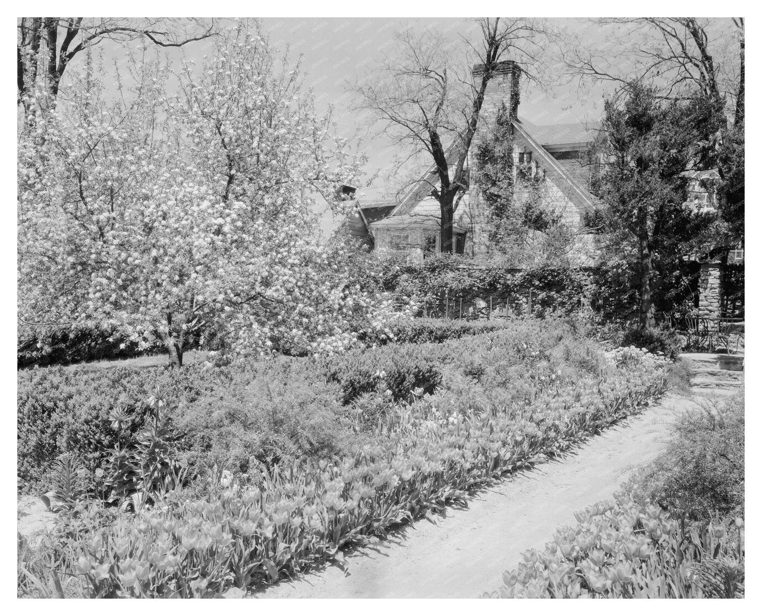 Middleburg VA Architecture - Carnegie Survey 1953