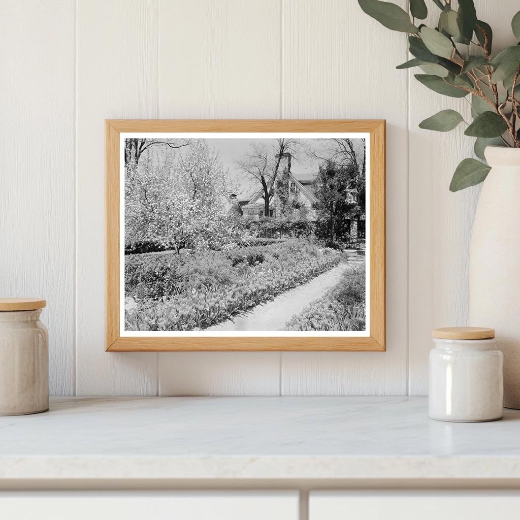 Middleburg VA Architecture - Carnegie Survey 1953