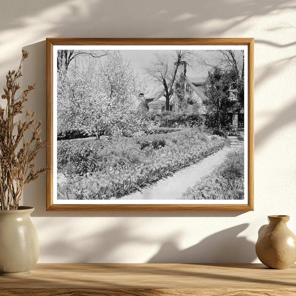 Middleburg VA Architecture - Carnegie Survey 1953