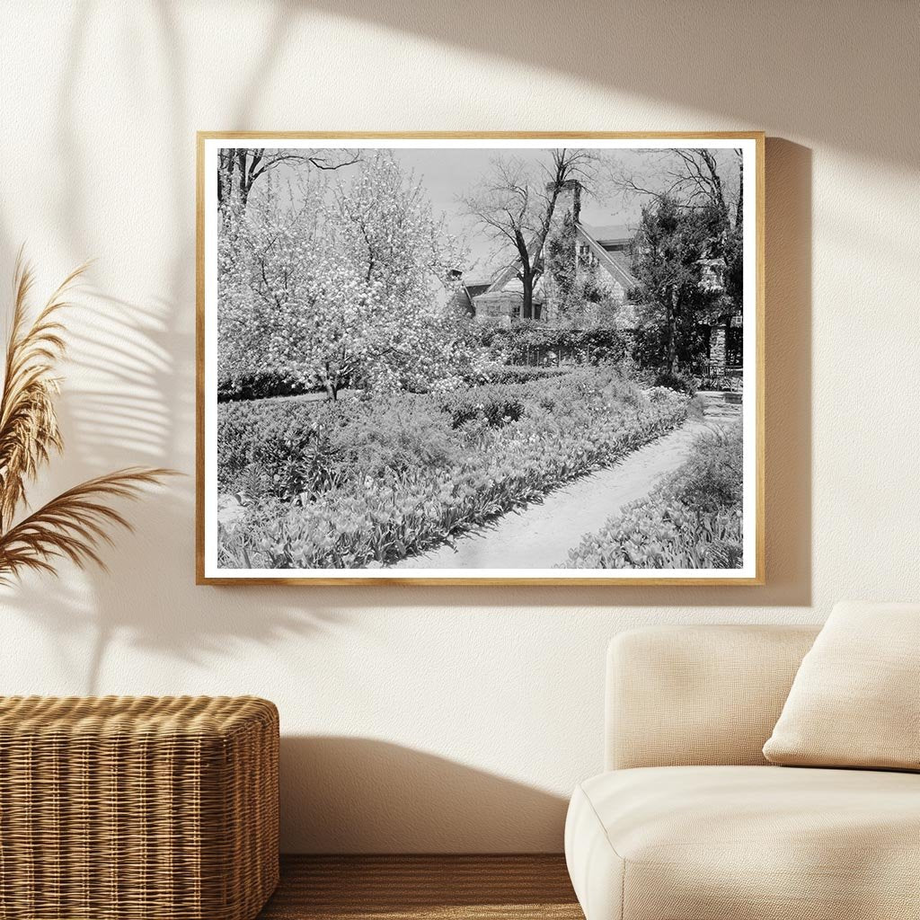 Middleburg VA Architecture - Carnegie Survey 1953