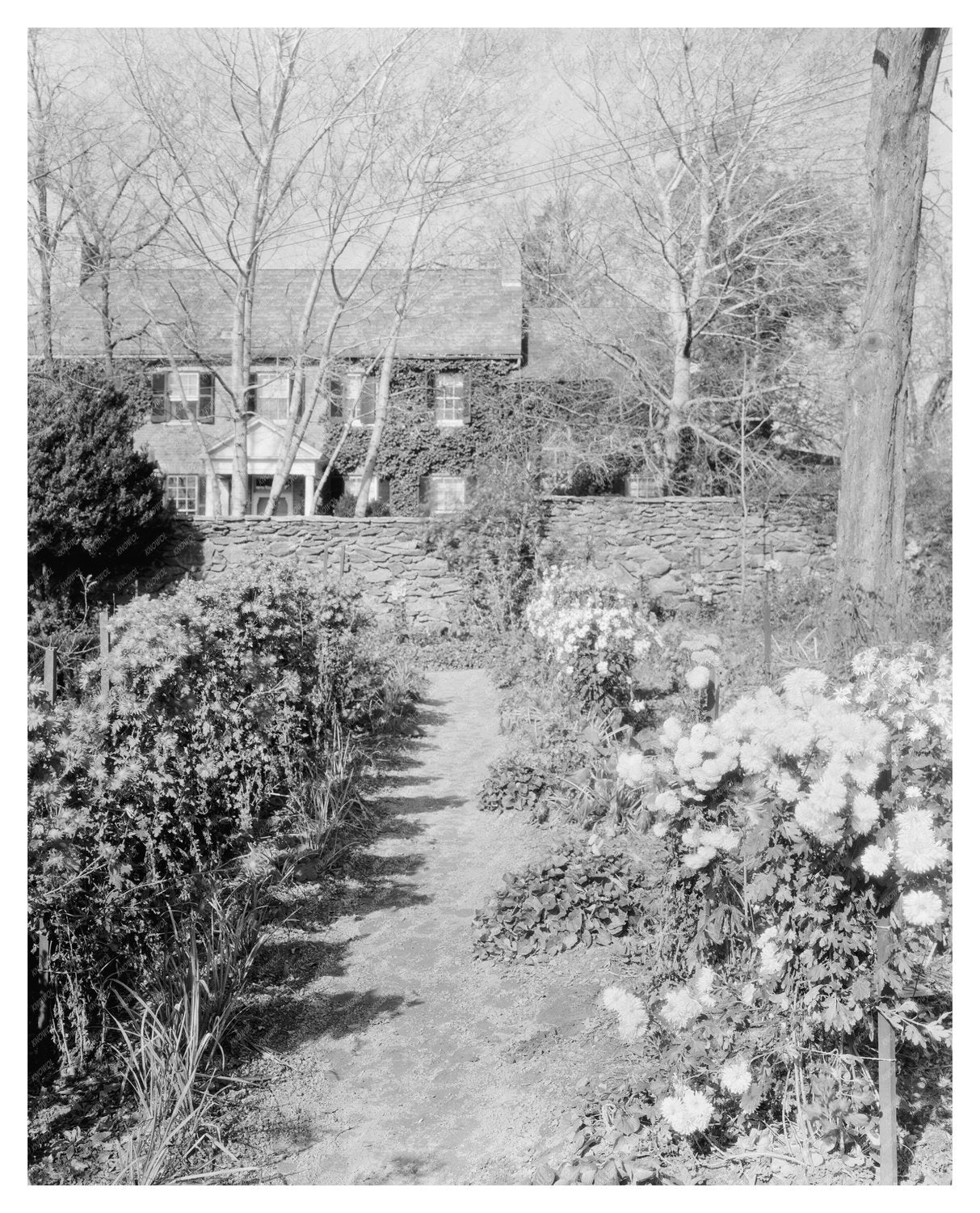 Middleburg VA Boarding School Photo, Early 20th Century