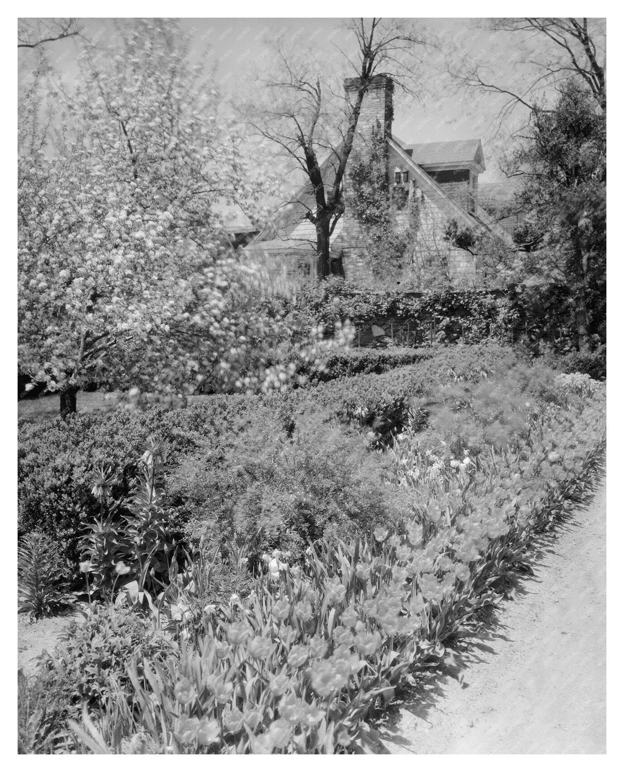 Middleburg, VA Vintage Photo from 1953 Carnegie Survey