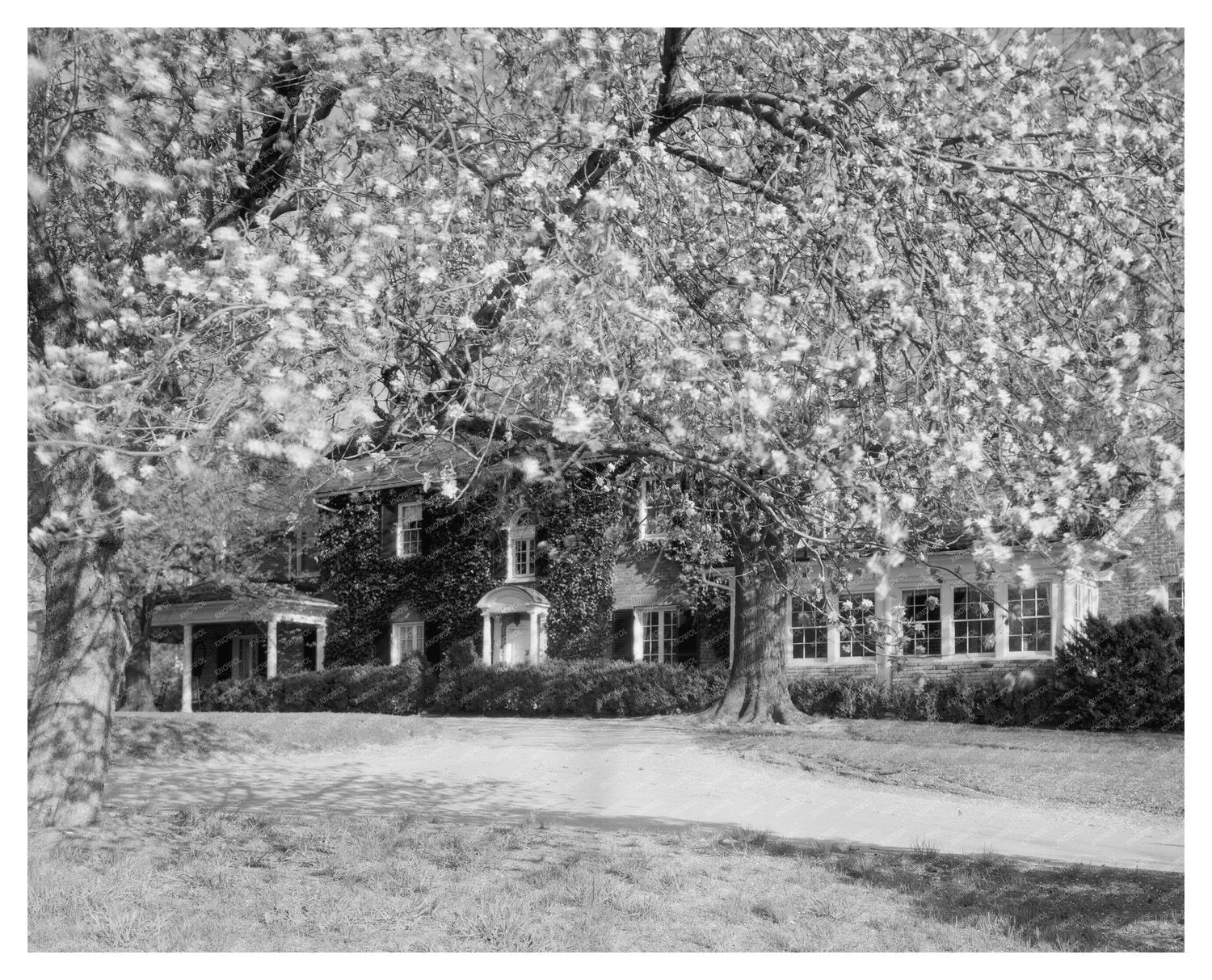 Vintage Boarding School Photo, Middleburg VA, 1953