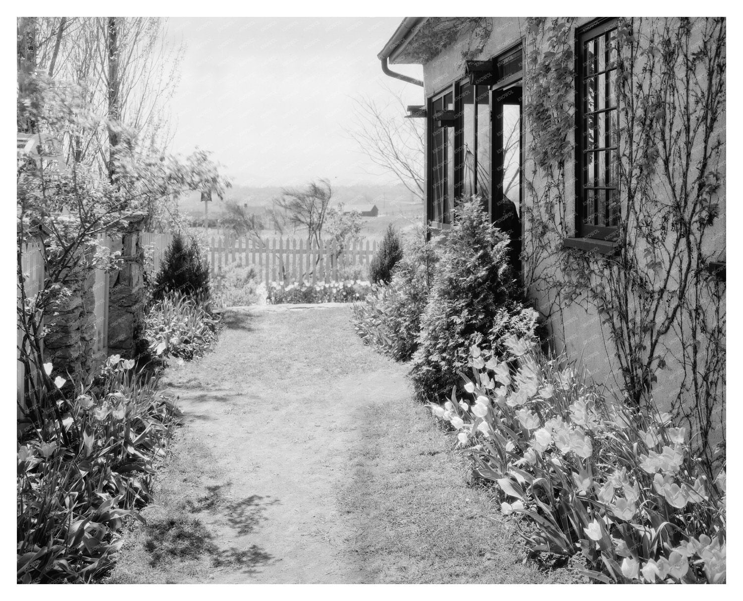 Middleburg, VA Vintage School Photo from 1900s Survey