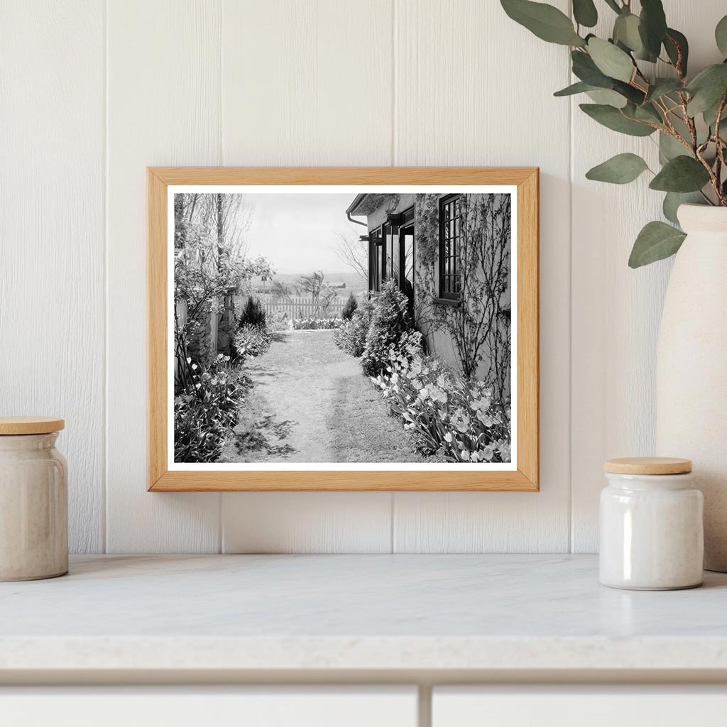 Middleburg, VA Vintage School Photo from 1900s Survey