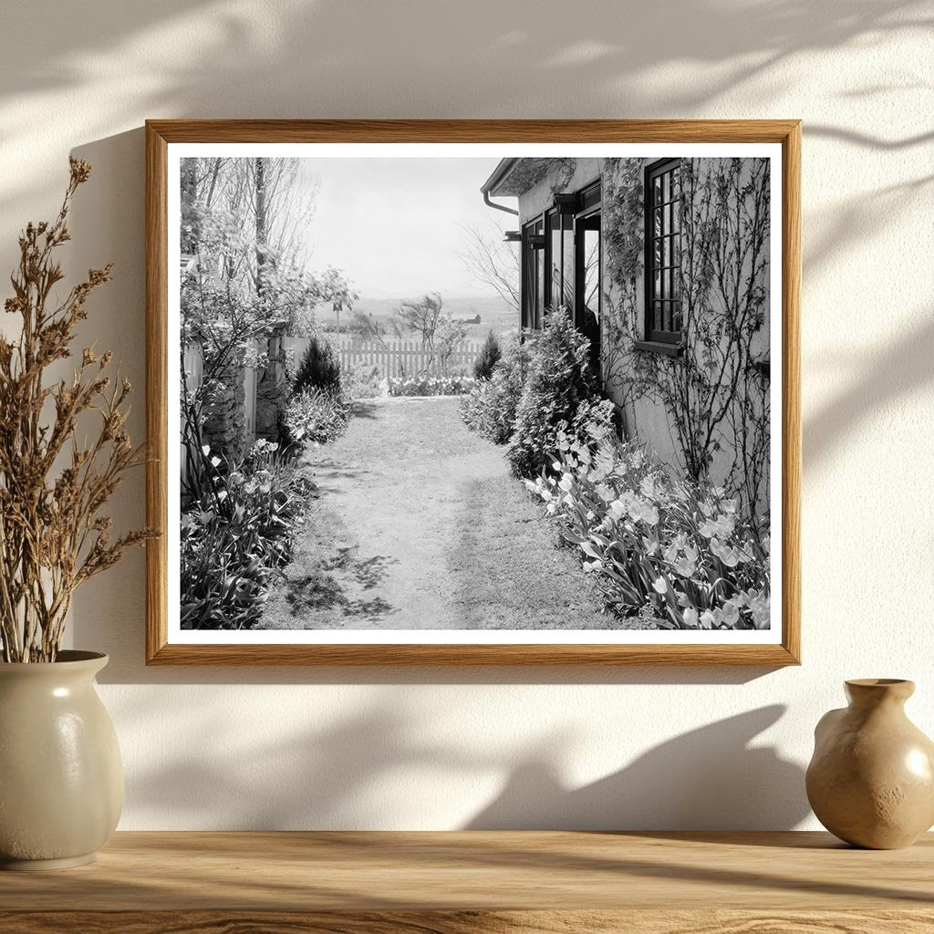 Middleburg, VA Vintage School Photo from 1900s Survey