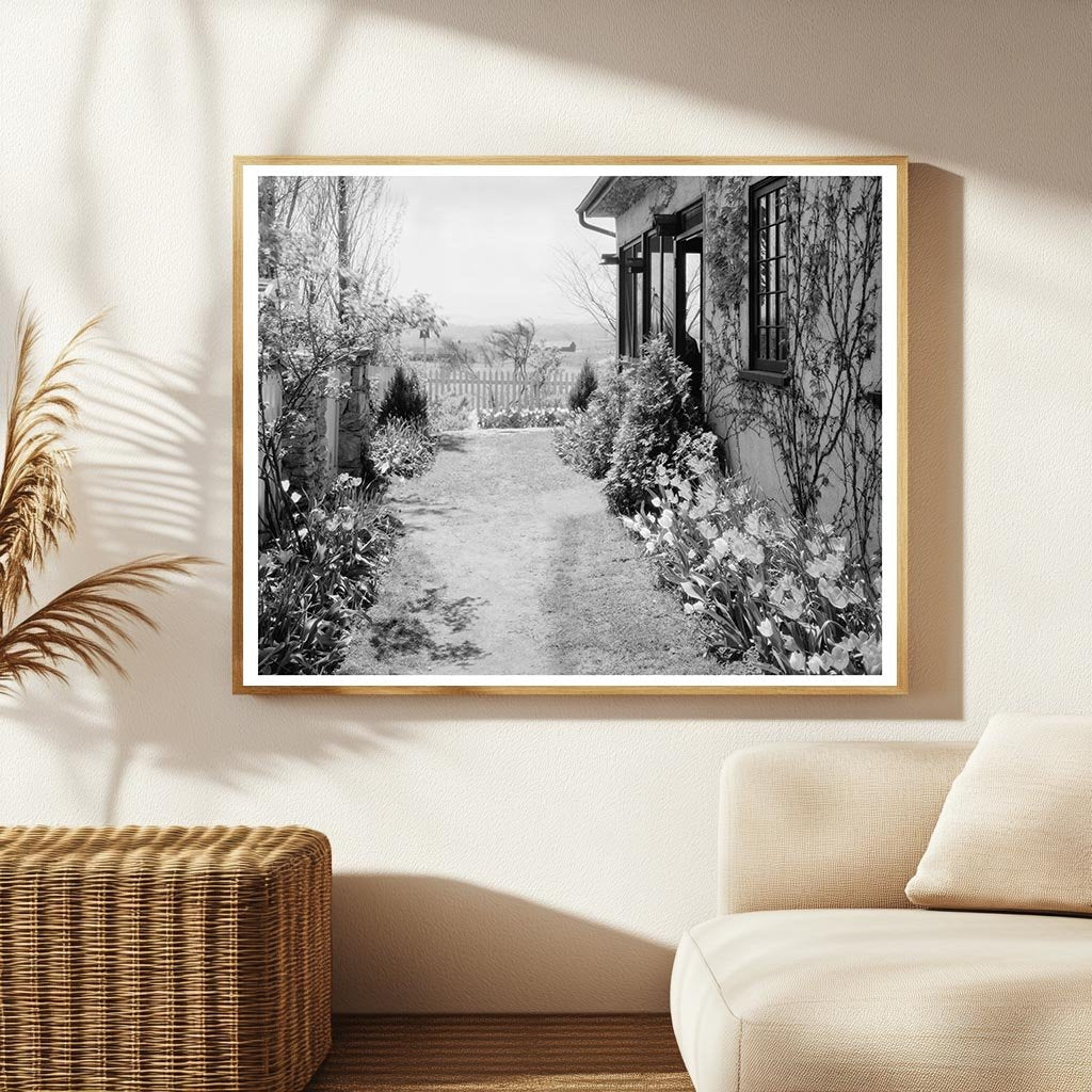 Middleburg, VA Vintage School Photo from 1900s Survey