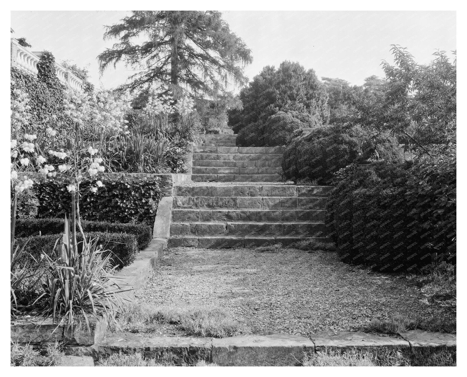 Loudoun County VA Estate Staircase Photo, Early 1900s