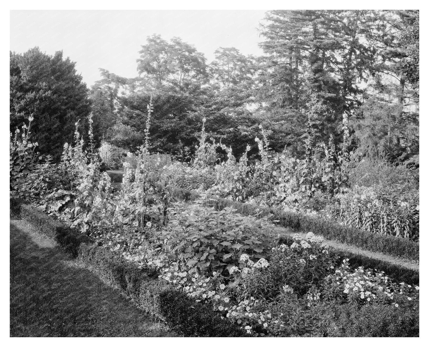 Leesburg, VA Vintage Photo from 1900s Architectural Survey