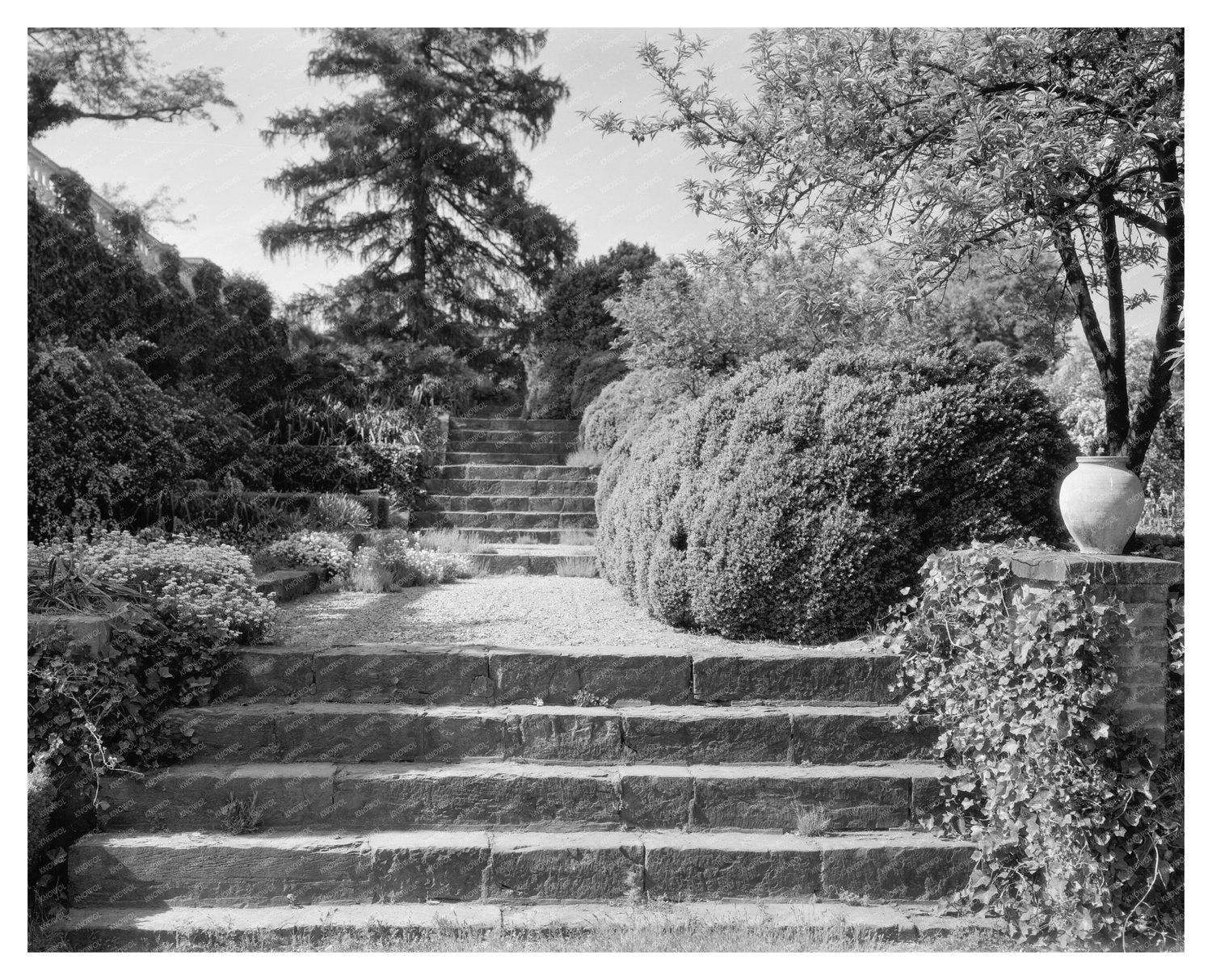 Vintage 1900s Estate in Leesburg, Virginia
