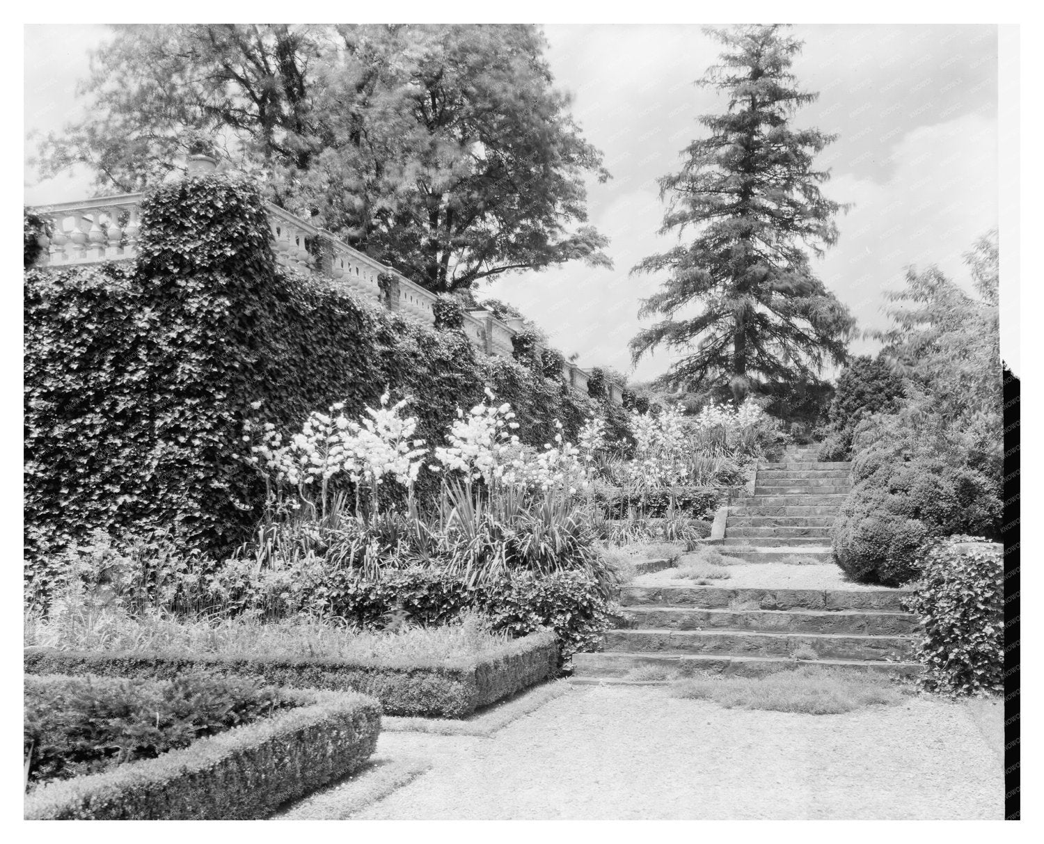 Vintage Photo of Leesburg, VA Estates, 20th Century