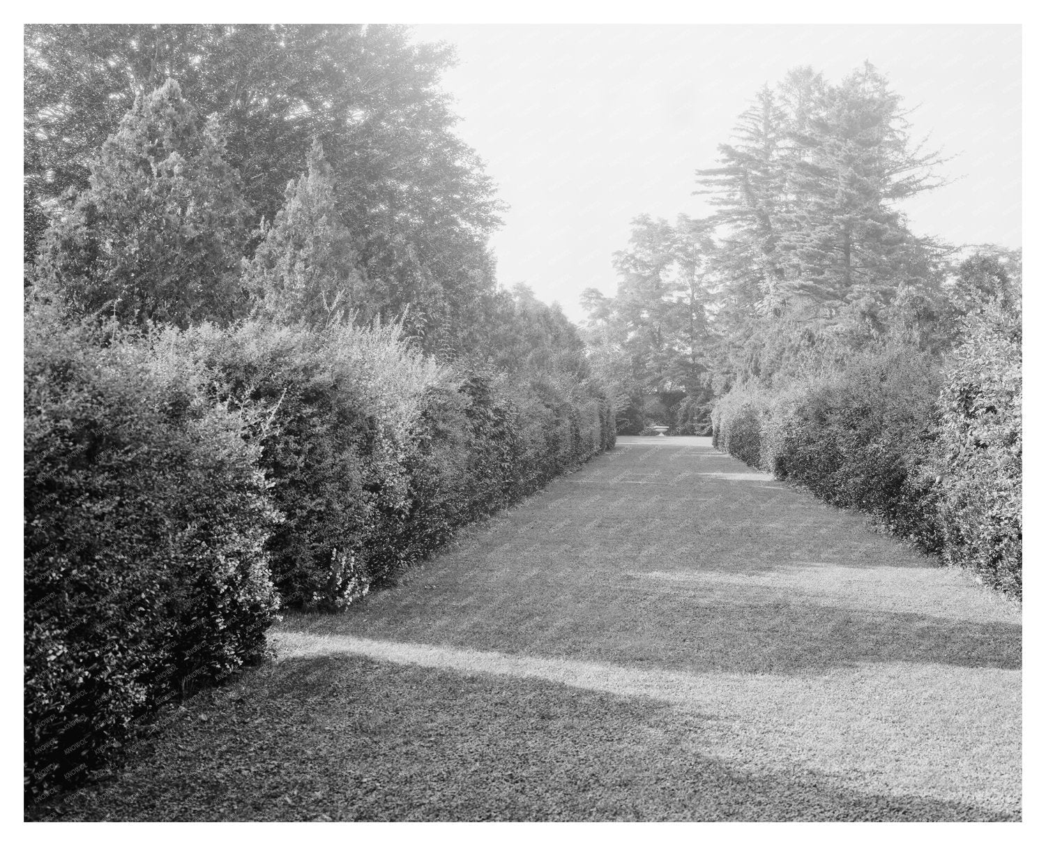 Early 20th Century Estate in Leesburg, Virginia