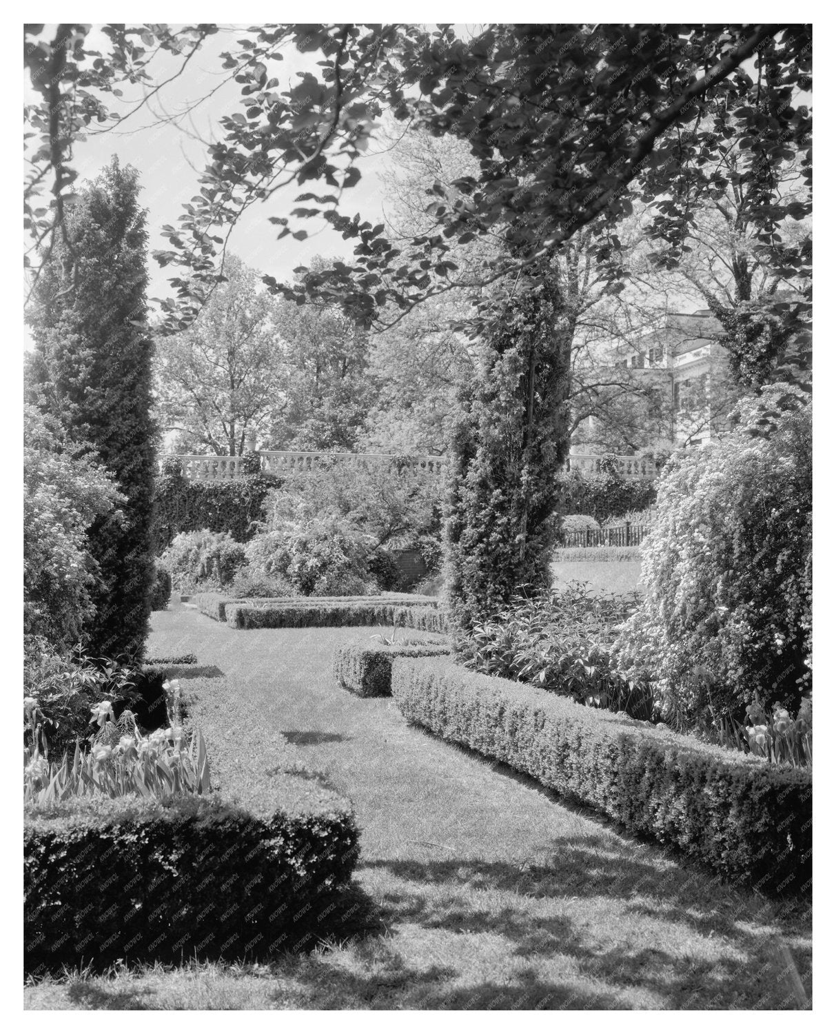 Loudoun County, VA Estates Photo, Early 1900s