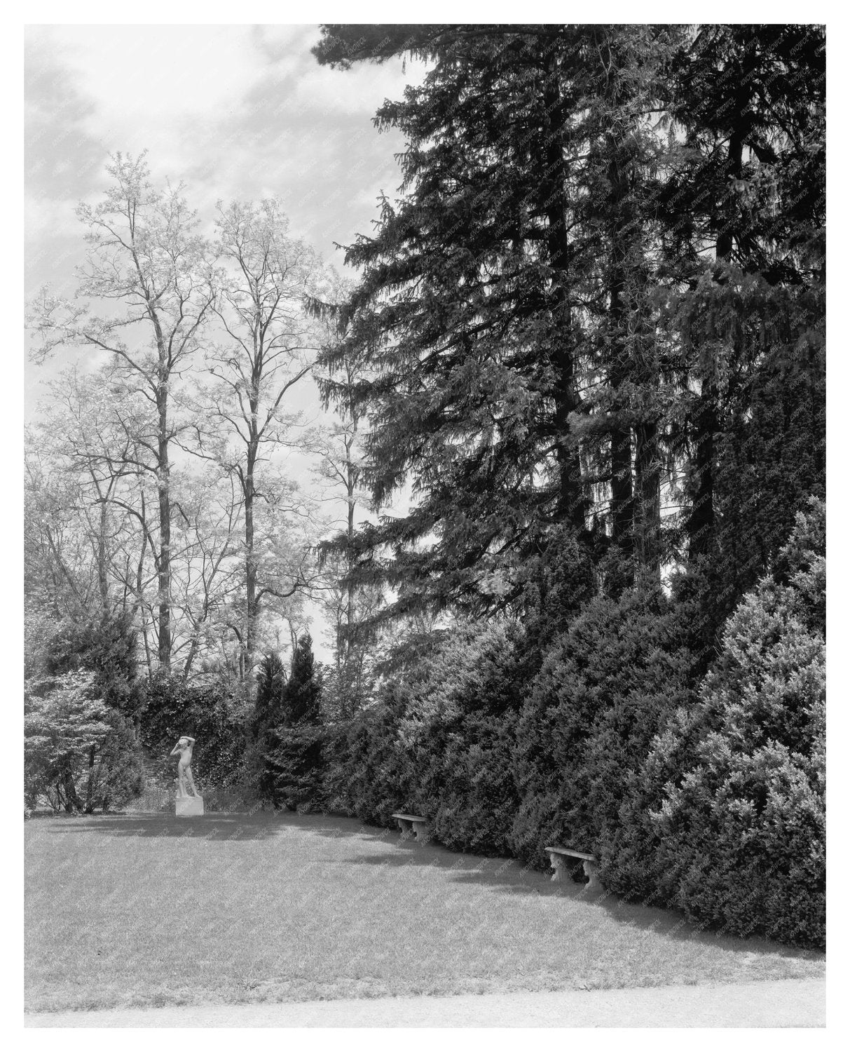 Vintage Leesburg, VA Gardens Photo from 20th Century