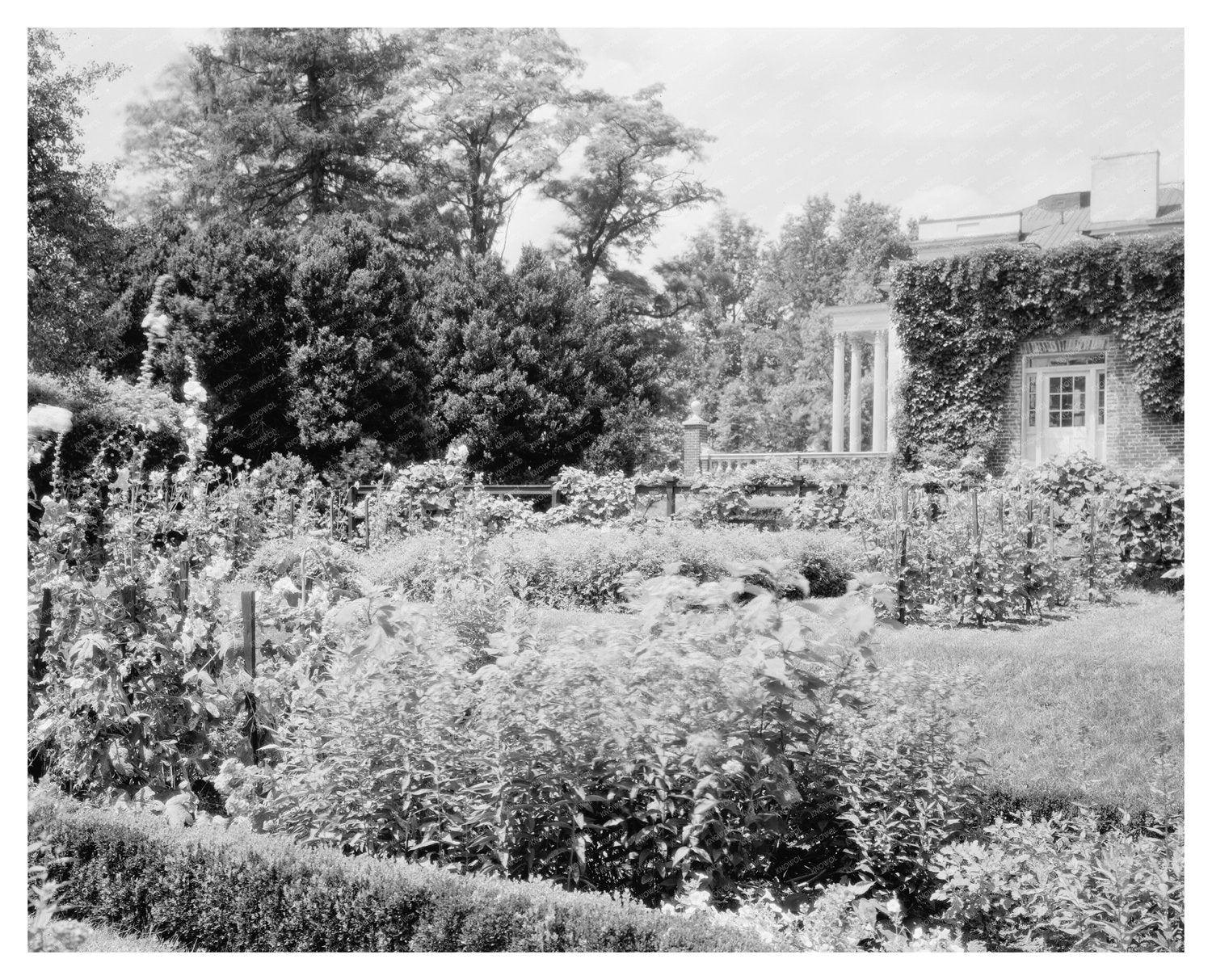 Vintage Leesburg, VA Landscape Photo - 1953