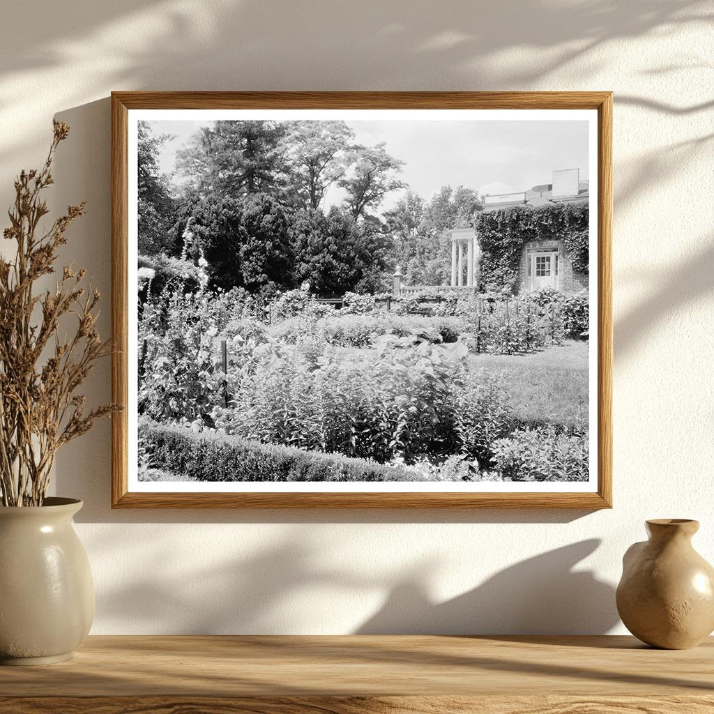 Vintage Leesburg, VA Landscape Photo - 1953