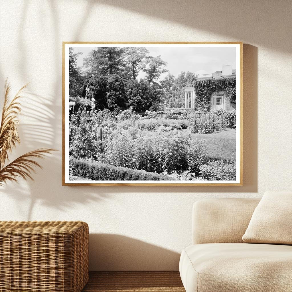 Vintage Leesburg, VA Landscape Photo - 1953