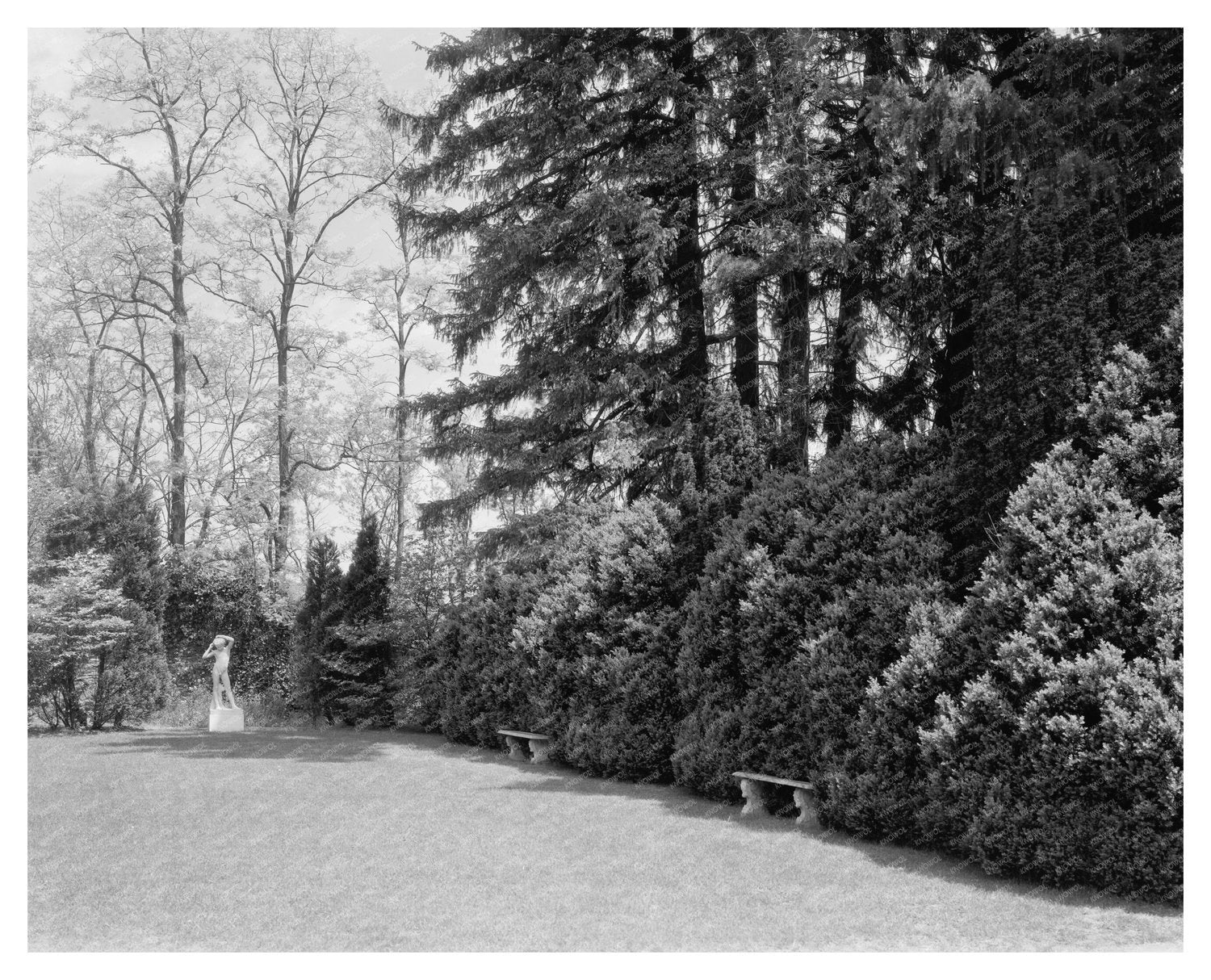 Vintage Photo of Leesburg, Virginia Gardens, 20th Century