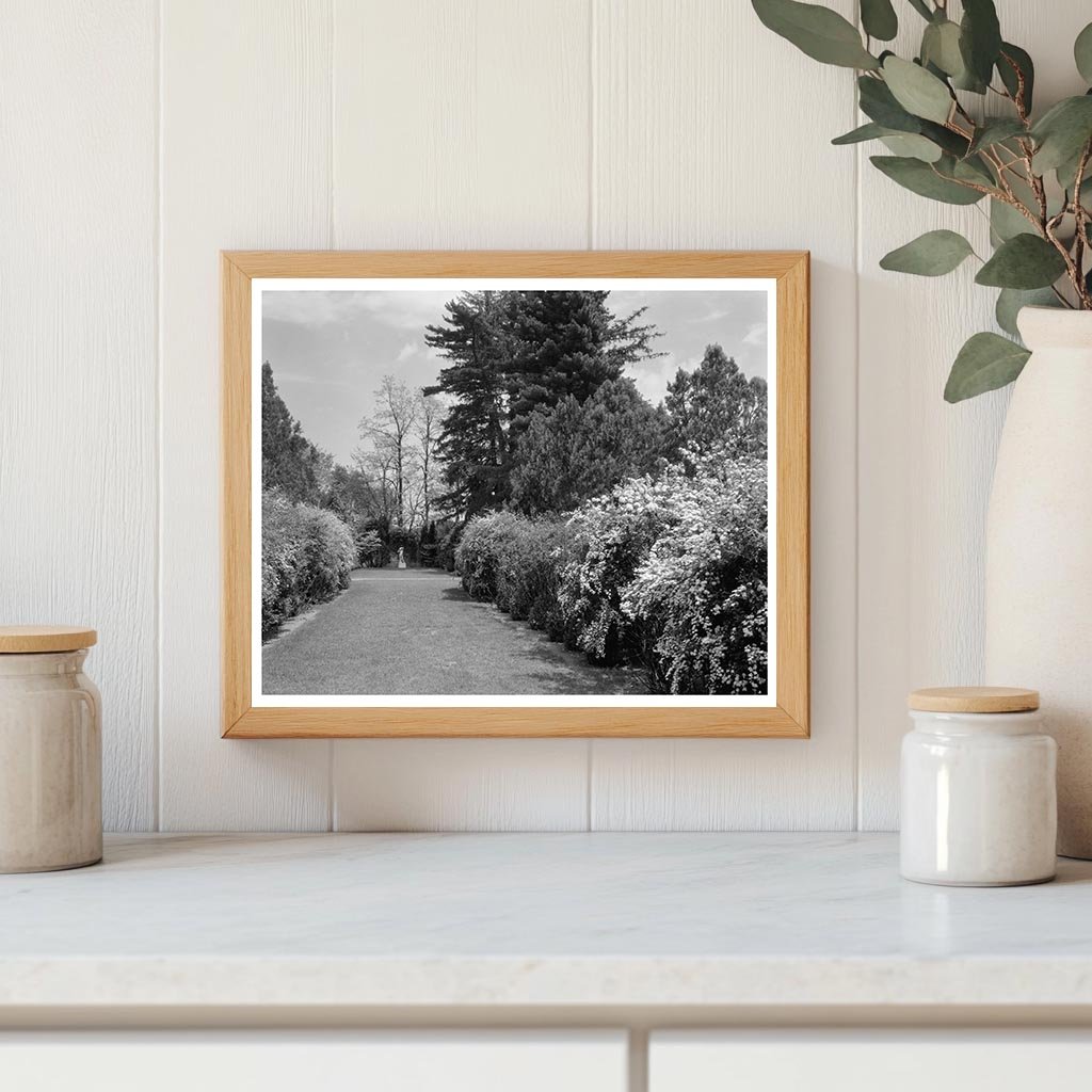 Leesburg VA Vintage Estate Photo Early 20th Century